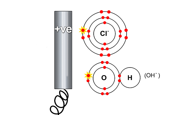 Electrons are stripped from the chlorine